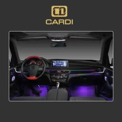Car Ambient light set of 10 pc